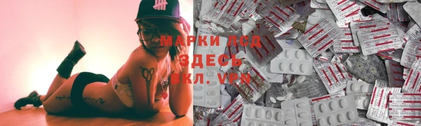 прущий лед Алзамай