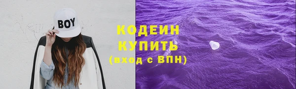 прущий лед Алзамай