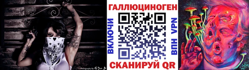 купить  цена  Удачный  Псилоцибиновые грибы Psilocybine cubensis 